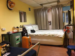 台北西门町三只老虎青年旅社 背包客的温馨栖息地